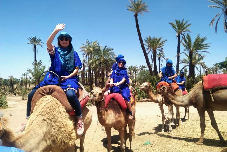 Marrakech Palmeraie: Camel Ride & Quad Bike Experience - Key points to know before booking