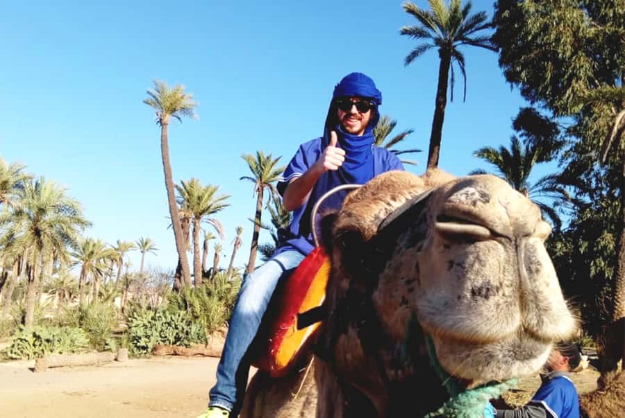 Marrakech Palmeraie: Camel Ride & Quad Bike Experience - Should you book it?