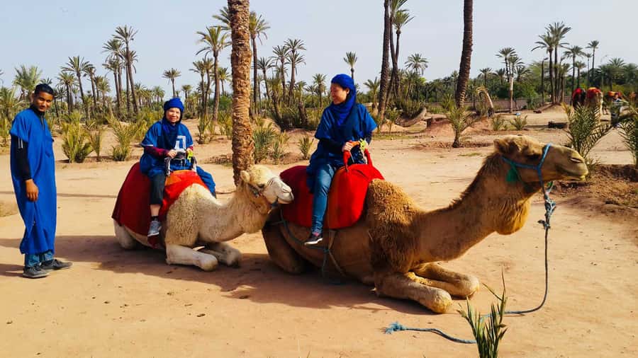 Marrakech Palmeraie: Camel Ride & Quad Bike Experience - Camel riding among the Palmeraie palms