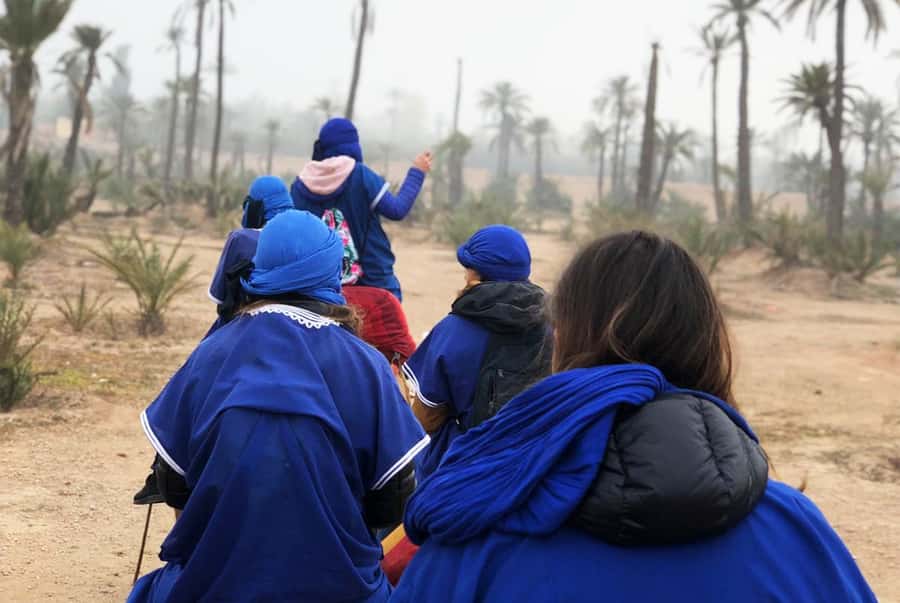 Marrakech Palmeraie: Camel Ride & Quad Bike Experience - Is $52 good value?