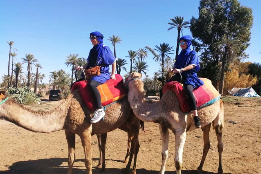 Marrakech Palmeraie: Camel Ride & Quad Bike Experience - Pickup from your Marrakech hotel or riad