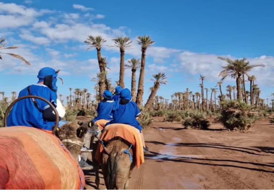Marrakech: Palmeraie Camel Ride & Traditional Moroccan Spa - Why the argan oil massage adds real value