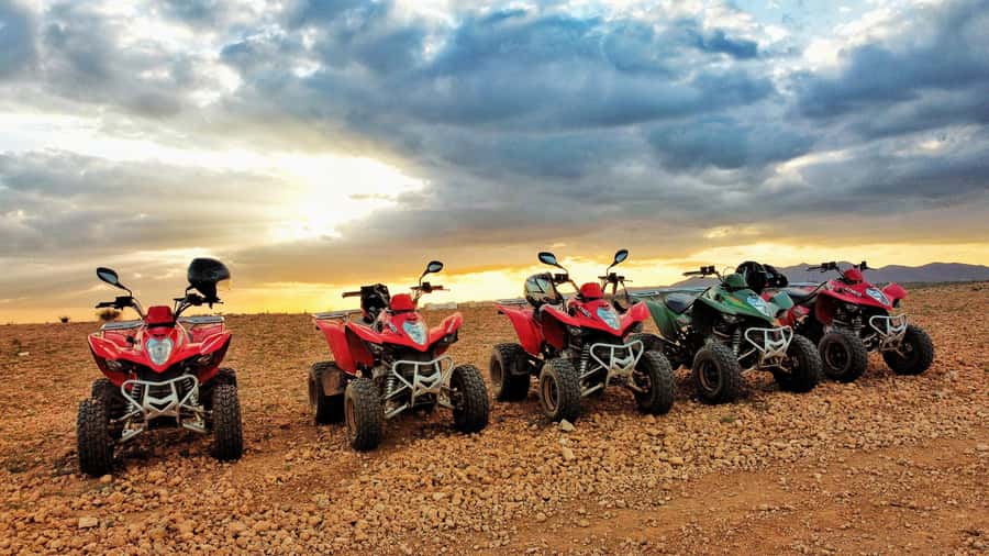 Marrakech: Palmeraie Guided Quad Biking Tour with Tea - Two Hours Through Marrakech’s Palmeraie