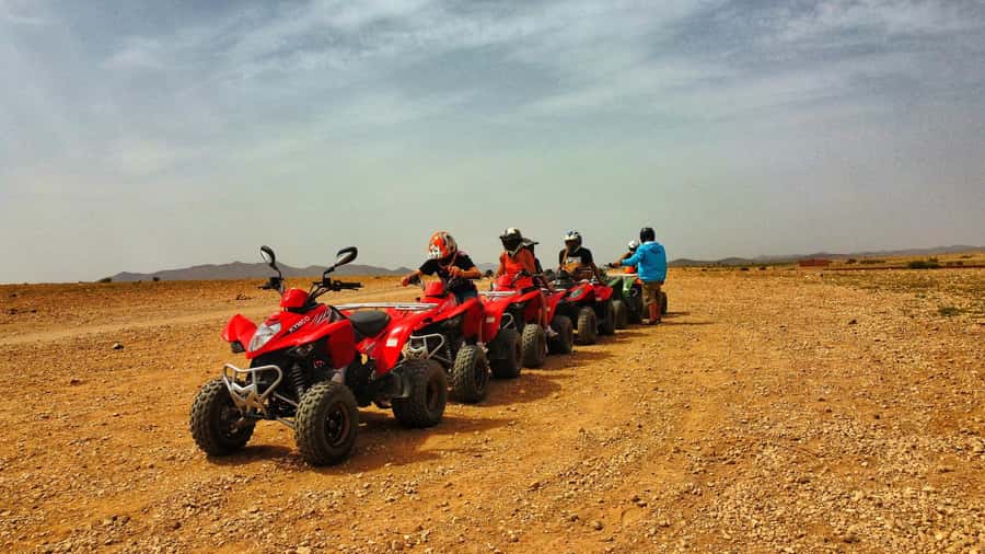 Marrakech: Palmeraie Guided Quad Biking Tour with Tea - Should You Book It?