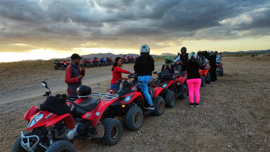 Marrakech: Palmeraie Guided Quad Biking Tour with Tea - Palm Trees, Rocky Ground, and Photo Stops