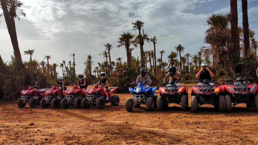 Marrakech: Palmeraie Guided Quad Biking Tour with Tea - The Tea Stop With Bread, Honey, and Olives