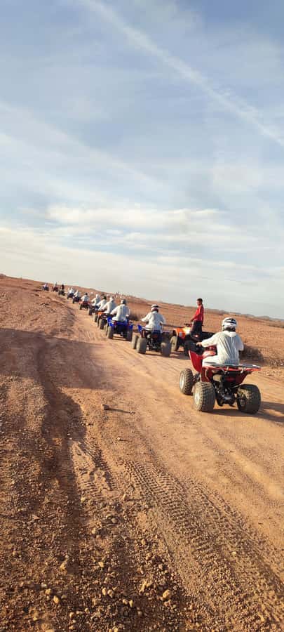Marrakech: Palmeraie Private Quad Bike Experience - Should you book it?