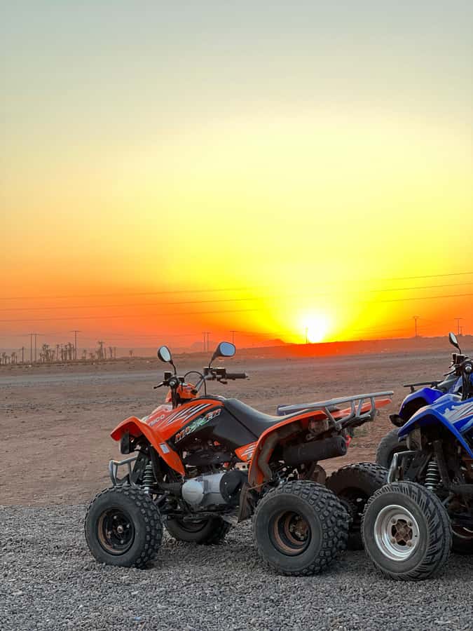 Marrakech: Palmeraie Private Quad Bike Experience - A Moroccan tea stop with olives, honey and oil