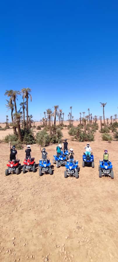 Marrakech: Palmeraie Private Quad Bike Experience - How beginner-friendly is the quad ride?