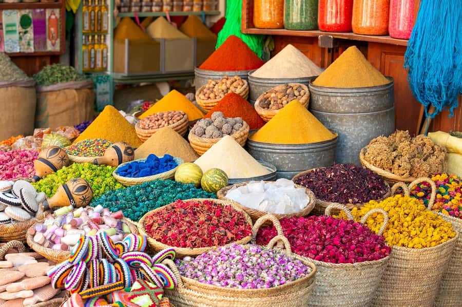 Marrakech: Private Full-Day City Tour w/ Majorelle Garden - Comfort, languages, and the guides