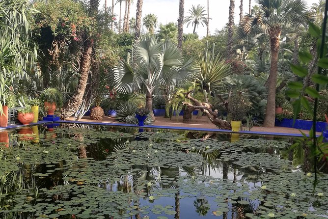 Marrakech: Private Guided Half-Day City Tour - The Mellah, where the city’s story changes