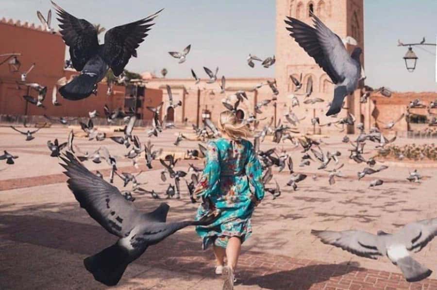 Marrakech: private Guided tour Of Vibrant Souks - Five useful things to know before you book