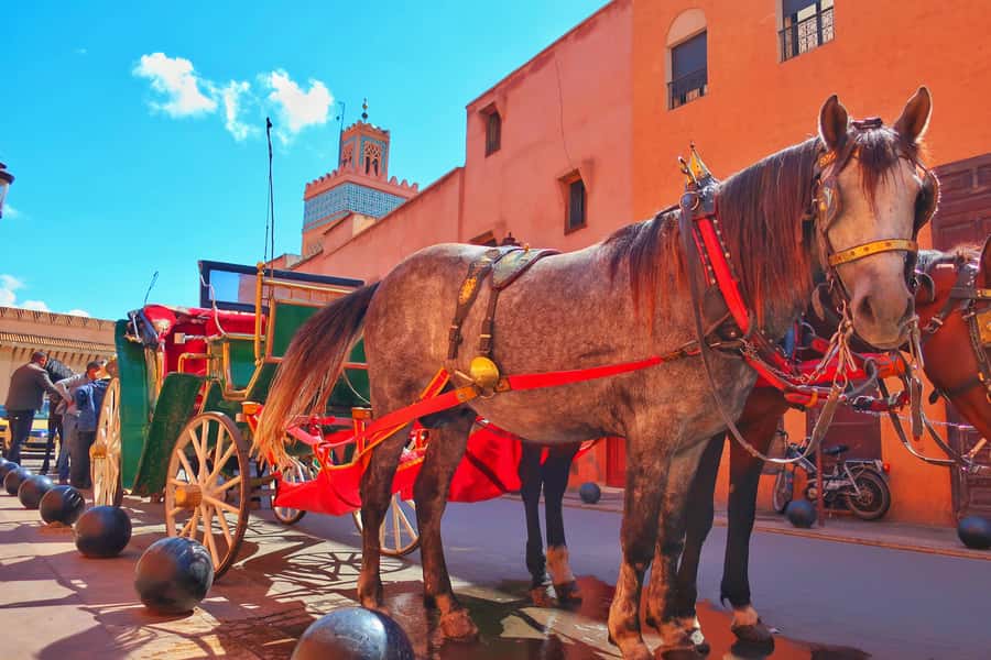 Marrakech: Private Half-Day City Highlights Tour - Bahia Palace and the cost of admission