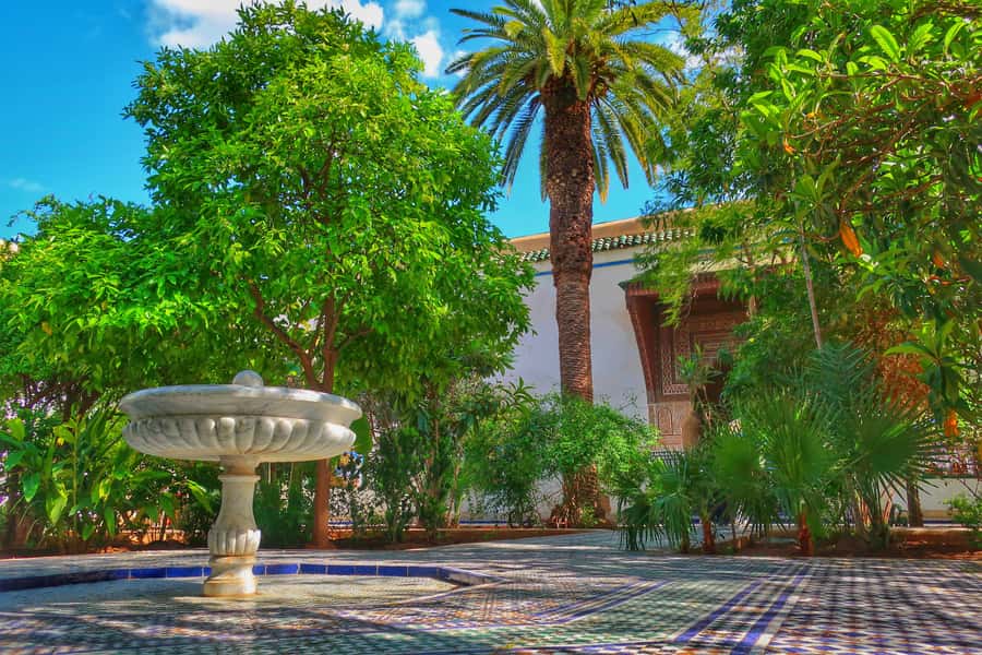 Marrakech: Private Half-Day City Highlights Tour - What the guide can add