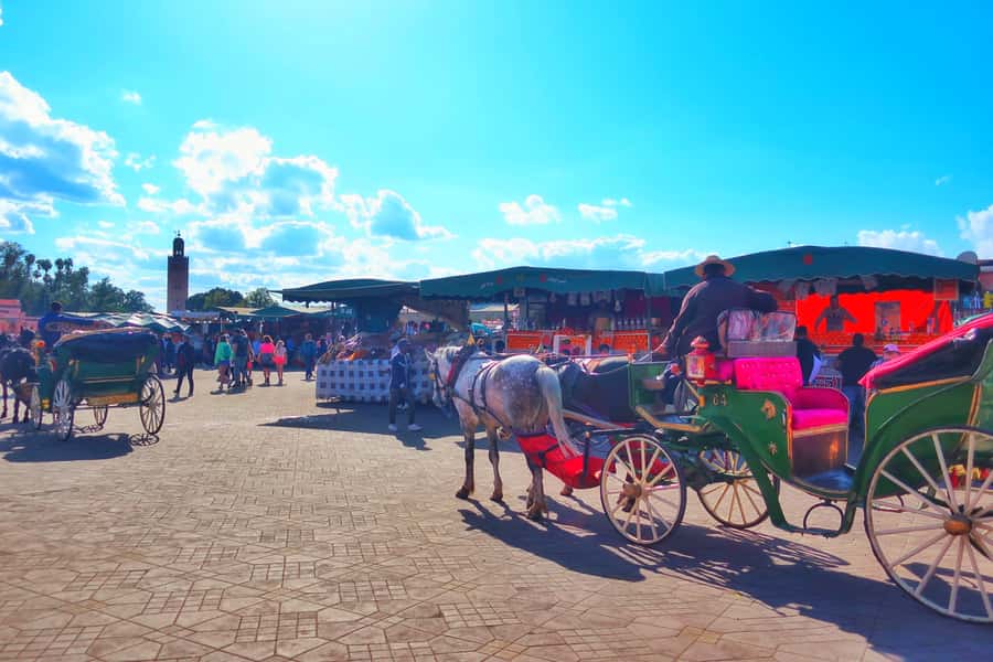 Marrakech: Private Half-Day City Highlights Tour - Gueliz and Hivernage: Marrakesh beyond the Medina