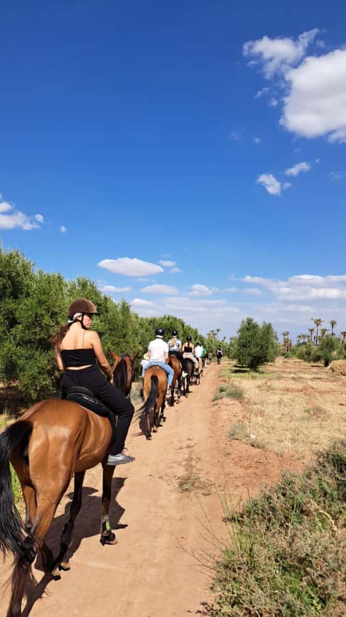 Marrakech: Private Horseback Tour in the Palm Grove with Tea - Key points to know before you book