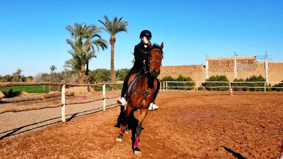 Marrakech: Private Horseback Tour in the Palm Grove with Tea - Riding out from Marrakech’s Medina