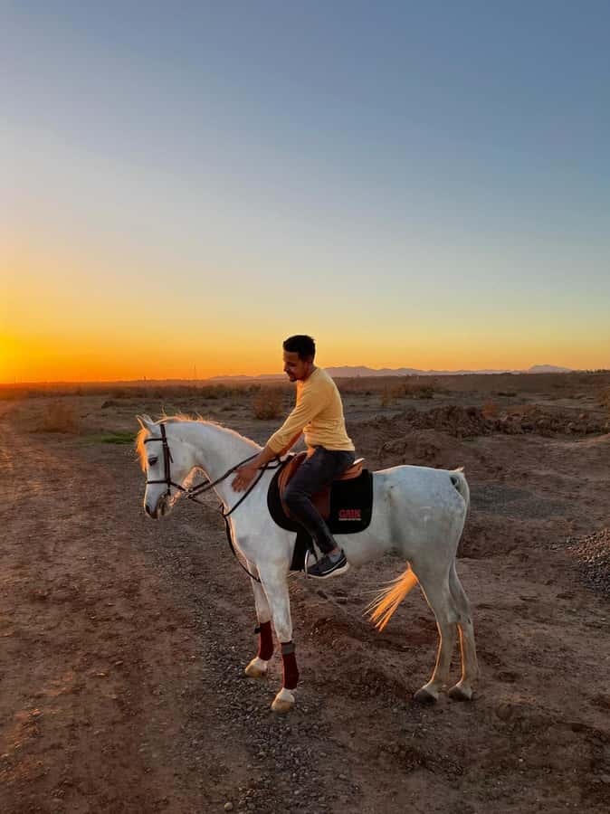 Marrakech: Private Horseback Tour in the Palm Grove with Tea - A ride that changes with your ability
