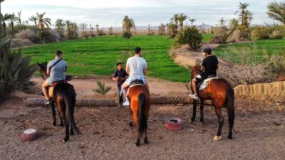 Private Horseback Tour in the Palm Grove with Tea