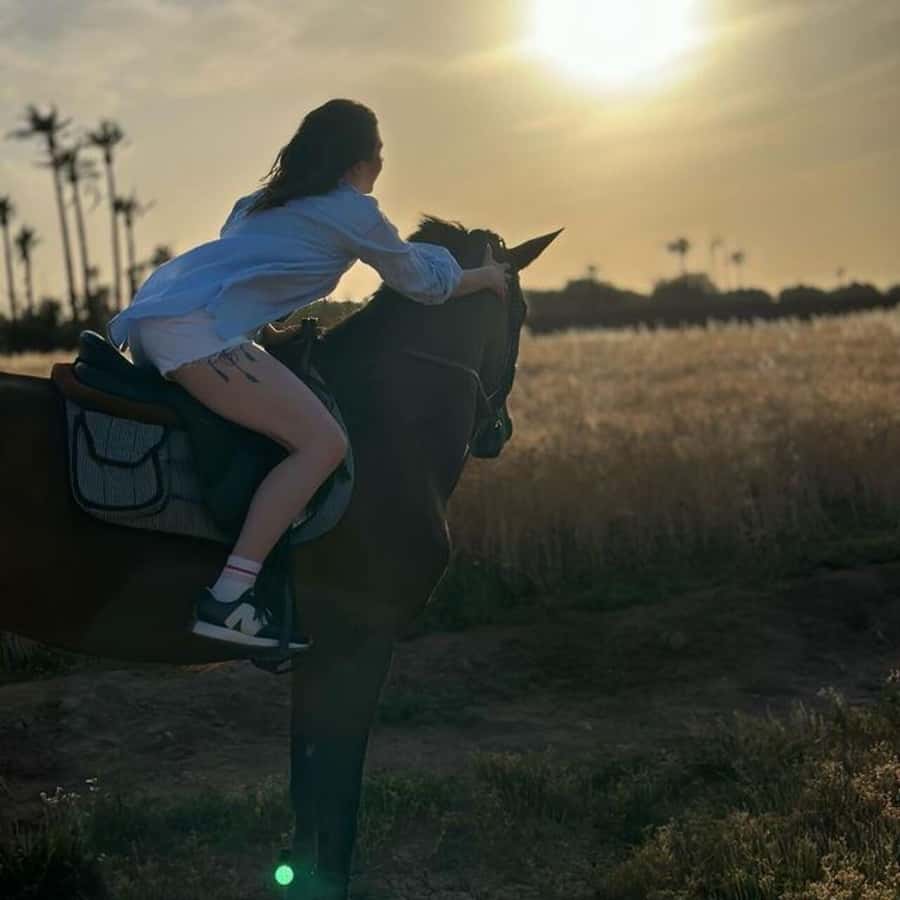 Marrakech: Private Horseback Tour in the Palm Grove with Tea - Horse care and the stable setting