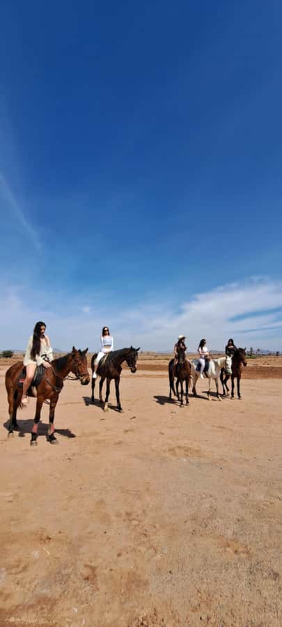 Marrakech: Private Horseback Tour in the Palm Grove with Tea - Should you book the Palmeraie horseback tour?