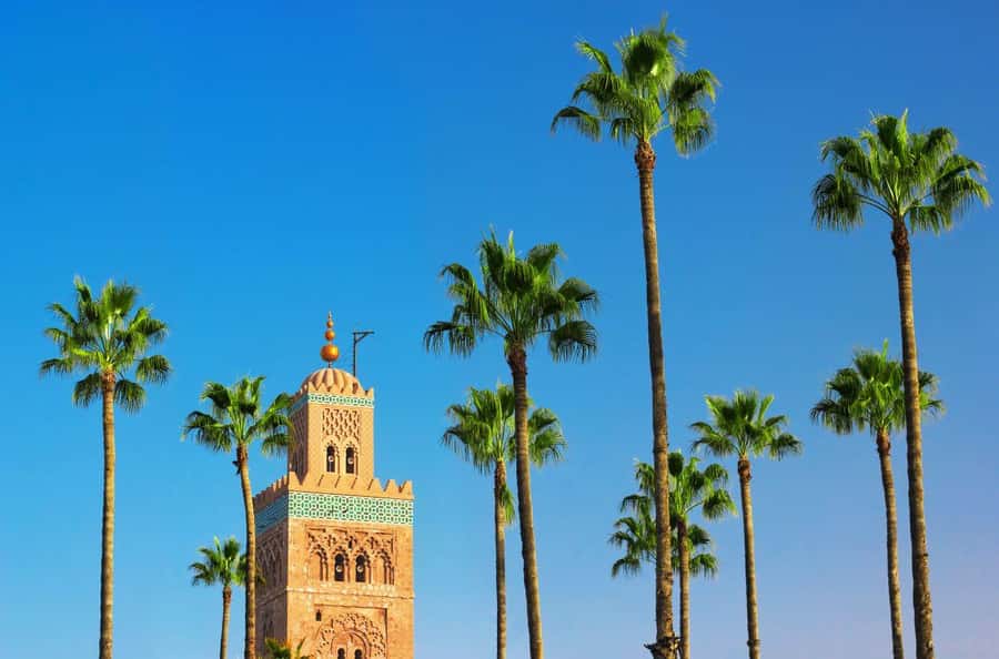 Marrakech Private Medina Tour: Bahia Palace & Ben Youssef - A smart first walk through Marrakech’s medina