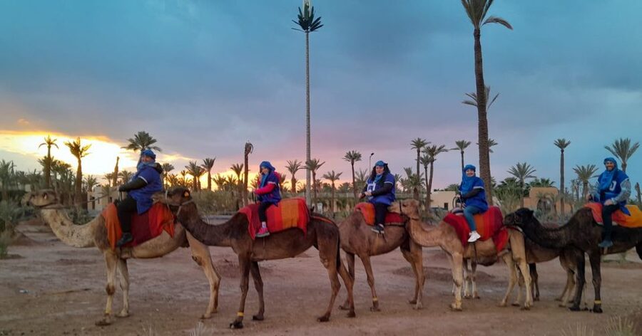 Marrakech: Private Palm Grove Camel and Quad Bike Ride - Tea in a Berber home