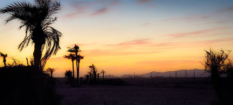 Marrakech: Private Palm Grove Camel and Quad Bike Ride - What the $58 price really covers