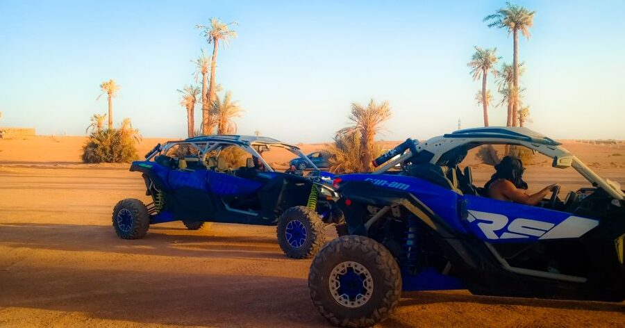 Marrakech: Private Palm Grove Camel and Quad Bike Ride - The guides make the difference