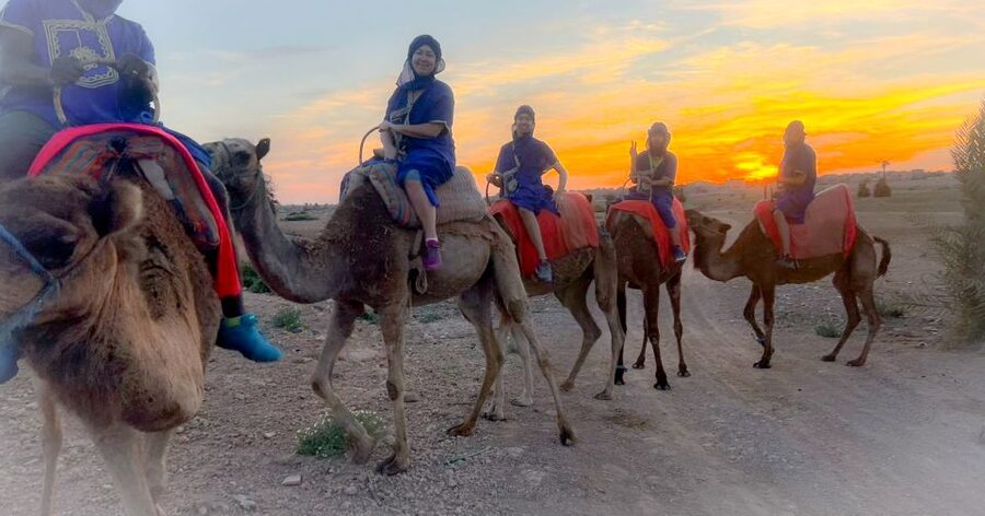 Marrakech: Private Palm Grove Camel and Quad Bike Ride - Booking tips for a smoother afternoon