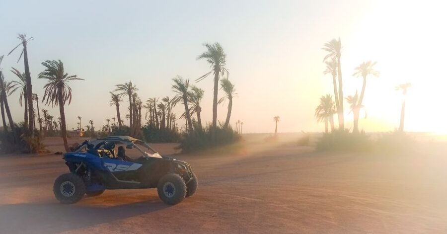 Marrakech: Private Palm Grove Camel and Quad Bike Ride - Starting slowly on a one-hour camel ride