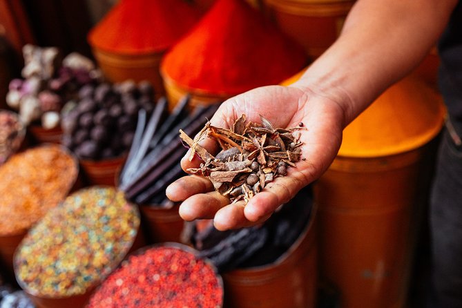 Marrakech PRIVATE TOUR With Locals: Highlights & Hidden Gems - Bahia Palace and the limits of the palace visit
