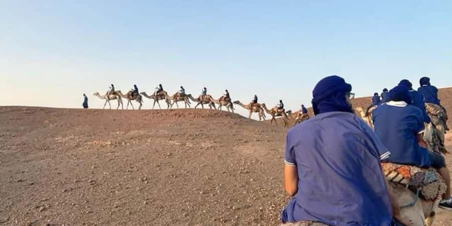 Marrakech: Quad Bike and Camel, Dinner Show in Agafay Desert - Who will enjoy this Agafay evening