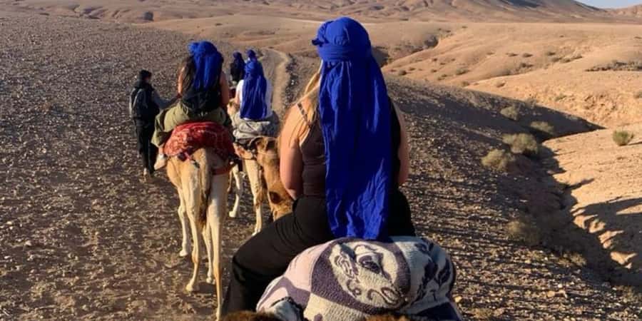 Marrakech: Quad Bike and Camel, Dinner Show in Agafay Desert - Quad biking across rocky Agafay