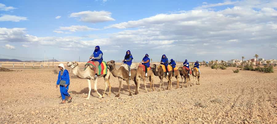 Marrakech: quad bike and Camel Ride in Marrakech - Quick reasons to consider this Palmeraie outing