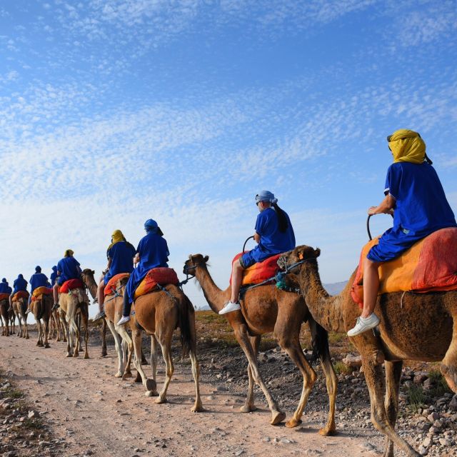 Marrakech: quad bike and Camel Ride in Marrakech - Guides who keep the day easy