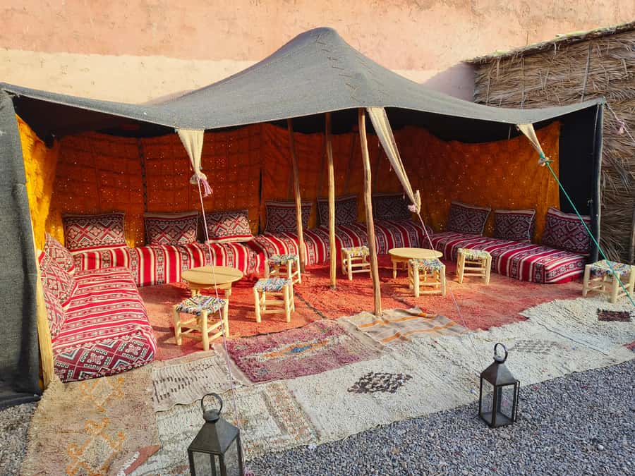 Marrakech: Quad Bike and Camel Ride Tour - From Marrakech to the palm groves
