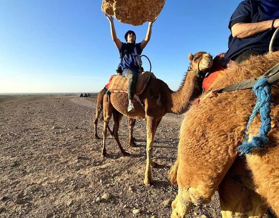 Marrakech : Quad Bike and Camel Ride with dinner in Agafay - Why Agafay works as a short desert trip