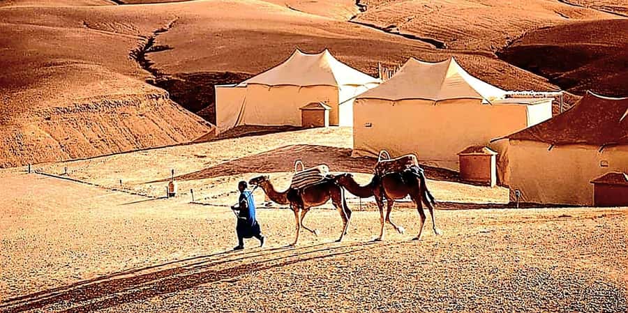 Marrakech : Quad Bike and Camel Ride with dinner in Agafay - The guides shape the whole evening