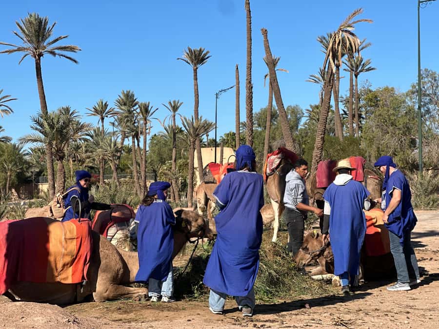 Marrakech: Quad Bike excursion at the sunset with Tea Break - The Jbilet Desert and the best photo stops