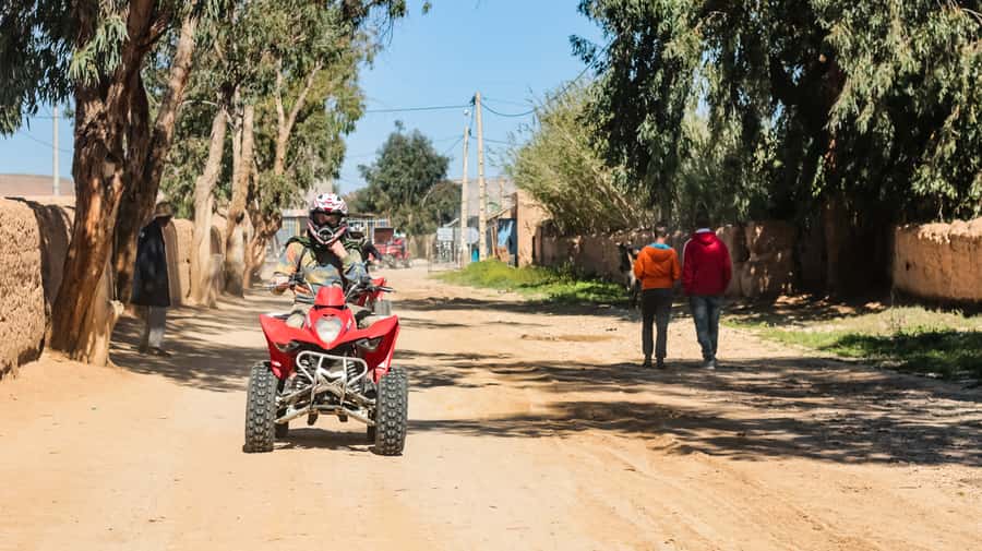 Marrakech Quad Bike Experience: Desert and Palmeraie - From Marrakech to the Jbilets Desert in 30 minutes