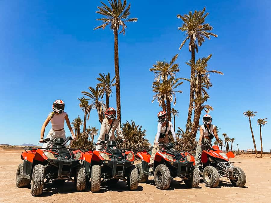 Marrakech: Quad Bike Tour to Palm Oasis and Jbilat Desert - Pickup from the Medina and central Marrakech