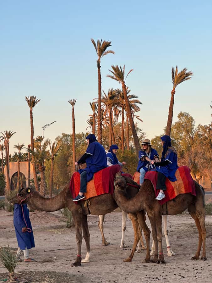 Marrakech:quad excursion at Jbilet desert with Moroccan tea - Riding out from Marrakech into the Jbilet desert