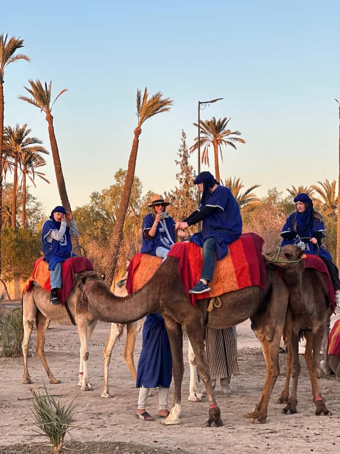 Marrakech:quad excursion at Jbilet desert with Moroccan tea - The palm grove photo break