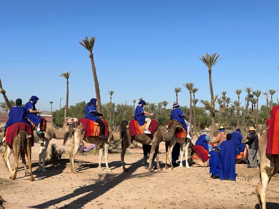 Marrakech:quad excursion at Jbilet desert with Moroccan tea - Guides, safety, and the shape of the outing