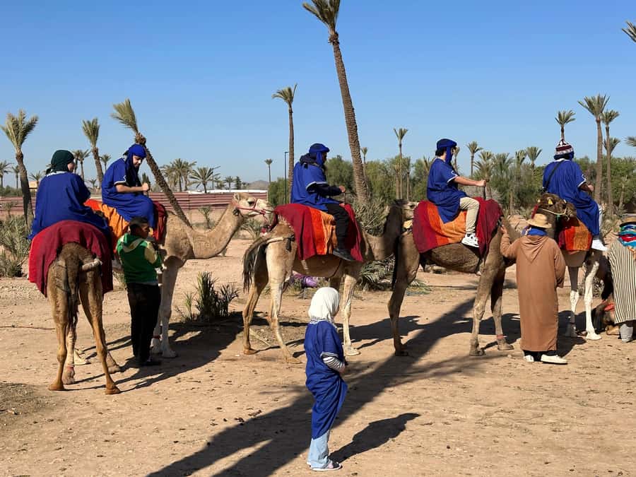 Marrakech:quad excursion at Jbilet desert with Moroccan tea - What $17 really gets you