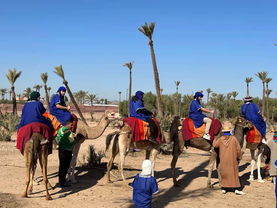 Marrakech:quad excursion at Jbilet desert with Moroccan tea - Who should book this quad excursion