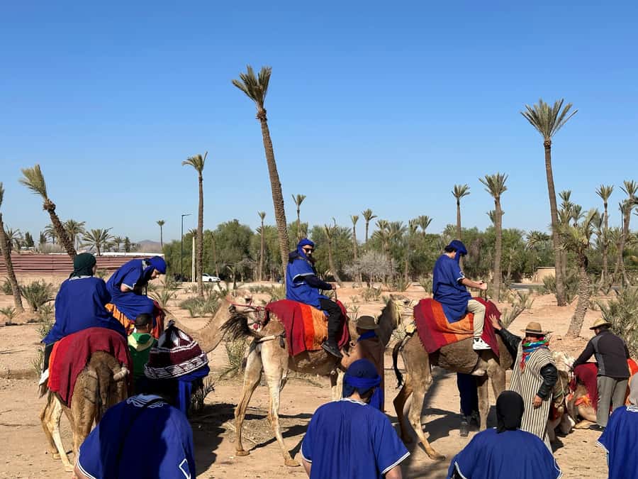 Marrakech:quad excursion at Jbilet desert with Moroccan tea - Should you book the Jbilet quad ride?