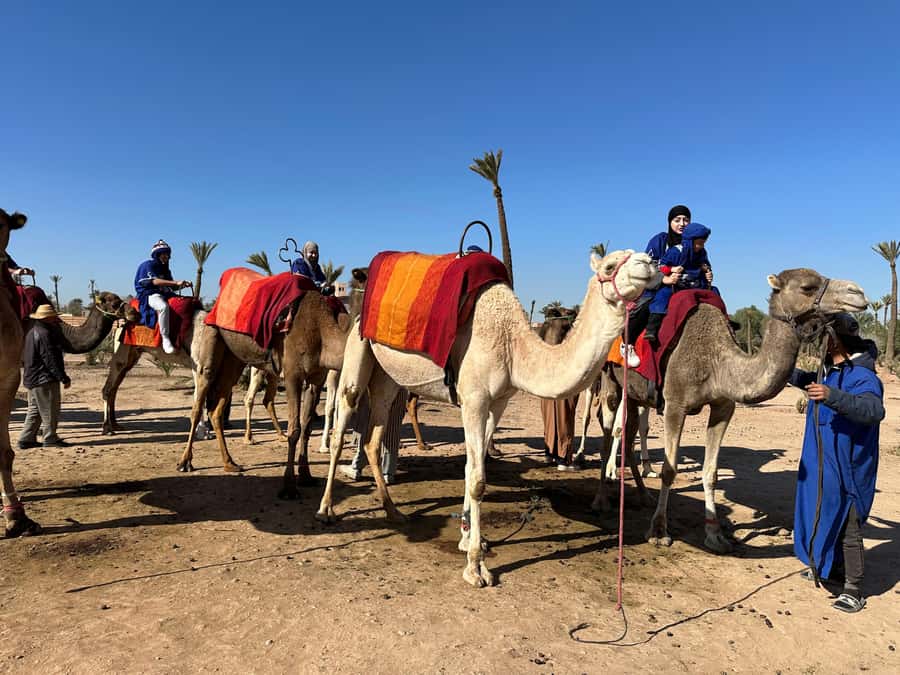 Marrakech:quad excursion at Jbilet desert with Moroccan tea - Two hours across palm grove tracks