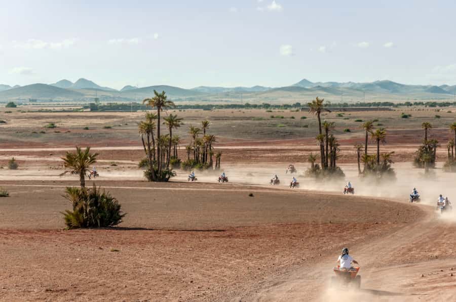 Marrakech: Quad Tour in Jbilets Desert with Palm Grove - What makes this quad tour worth considering